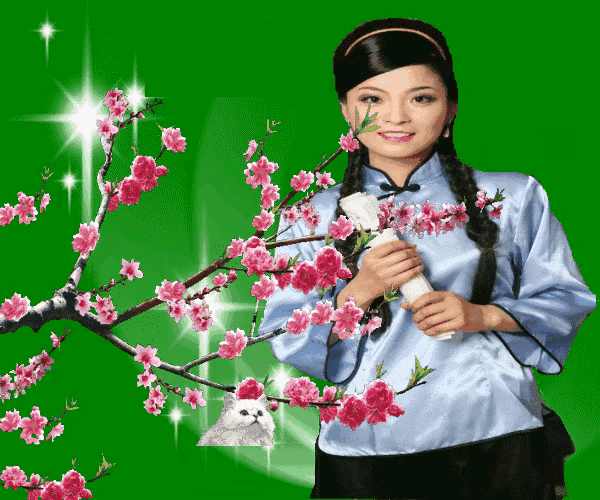 平平淡淡才是真下一句，人生最现实的句子（1423平平淡淡才是真）