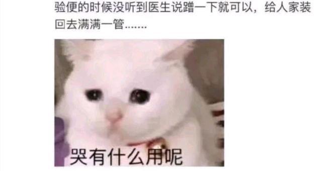 鲸落鲨掉网名，鲸落鲨掉微信昵称（鲸鱼死了有个好听的名字叫鲸落）