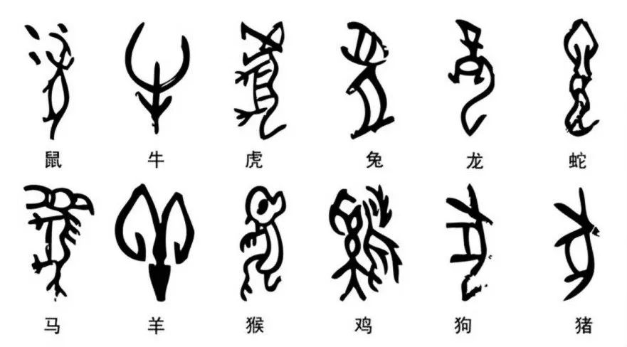 2是什么意思(12暗号是什么)"