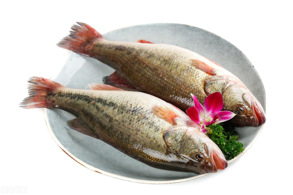 加州鲈鱼价格暴跌，每斤骤降4元，海鲈鱼市场行情大幅下滑引关注