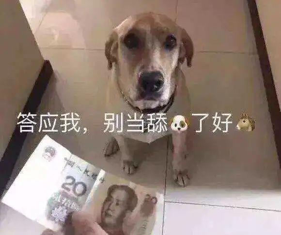 舔狗的最高境界，舔狗的最高境界句子有哪些（做一个舔狗，到底可以有多卑微）