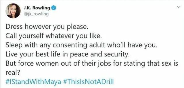 哈利波特的结局是什么，哈利波特结局了（哈利·波特杀死《哈利·波特》）