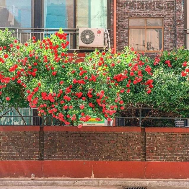 qq空间背景图，如何更换QQ空间全屏背景图（好看的空间背景图）