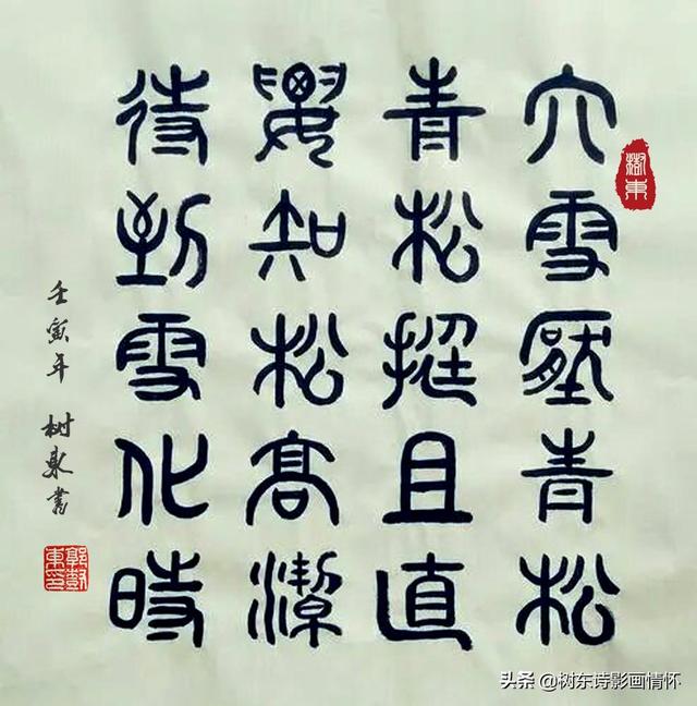 松树有什么象征与含义，松树象征的意义是什么（松在中华文化中象征着一种精神）