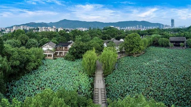 各地荷花景点，今年夏天，去这些地方拍荷花