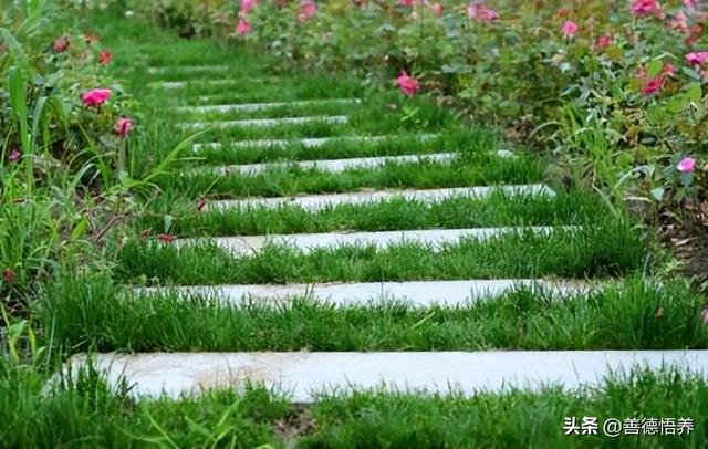 免高速公路费的节假日，高速公路免费的节假日有哪些（2023年清明节：放假1天）