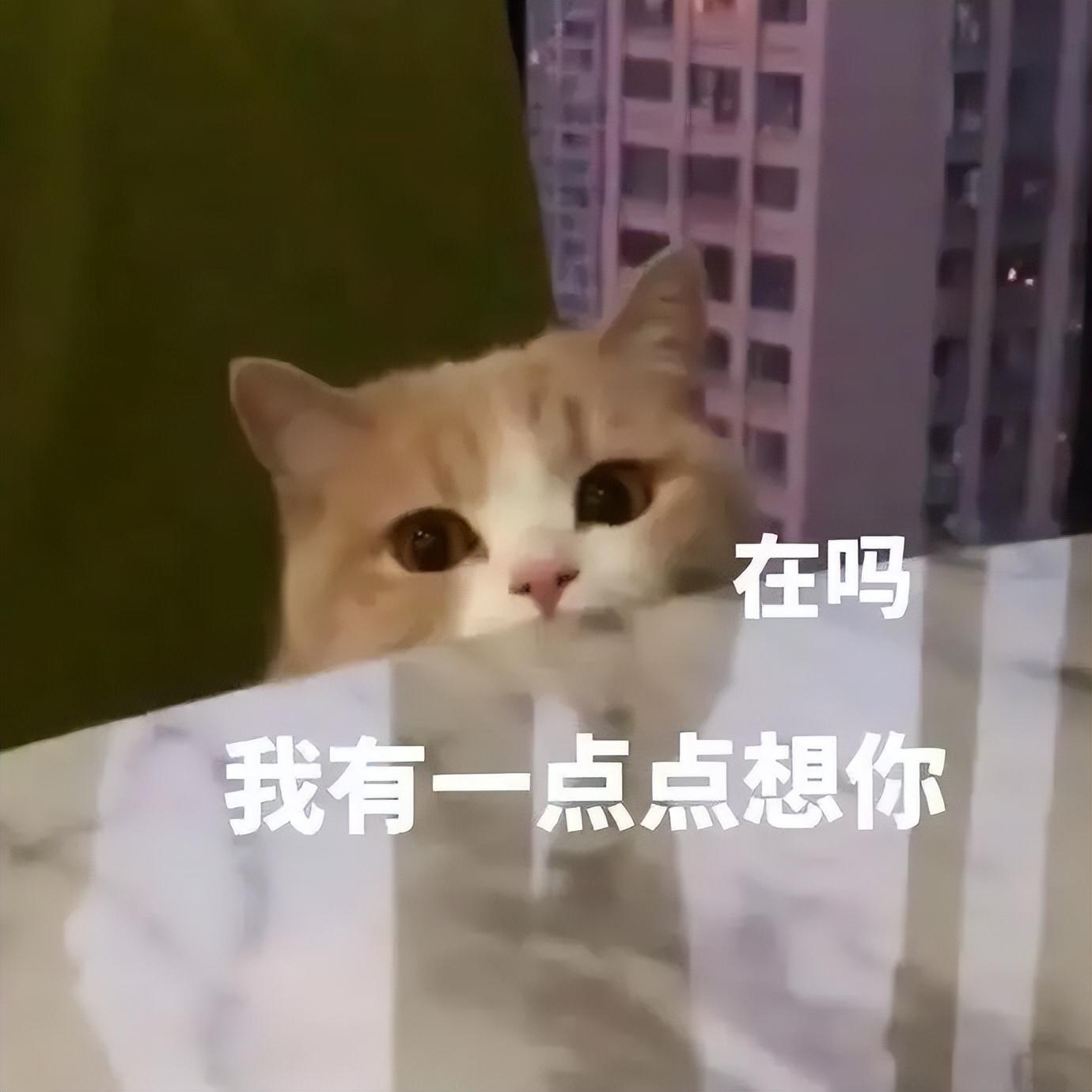 微信照片发不出去(为啥照片发不出去)