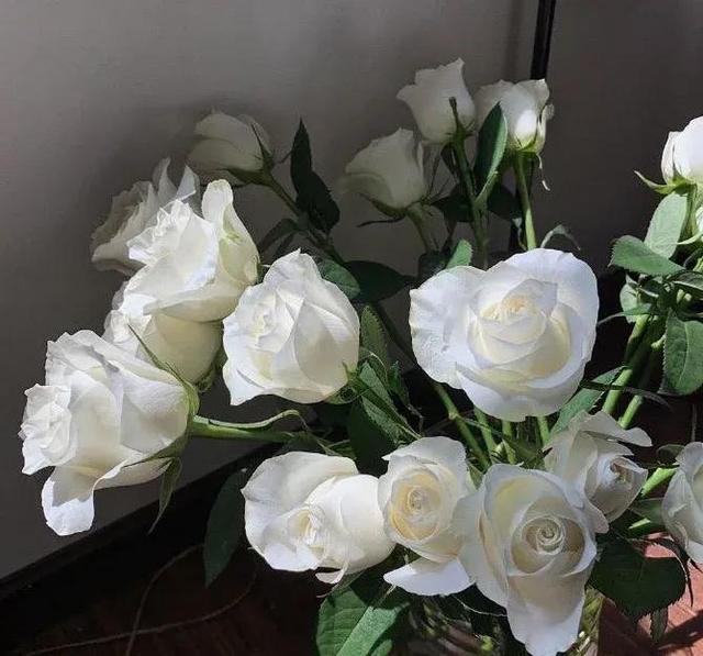 关于校园青春的文案，校园青春的文案短句（可以封神的青春校园文案）