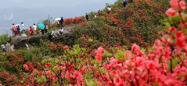 井冈山旅游景点介绍，井冈山旅游攻略（井冈山5大旅游景点）