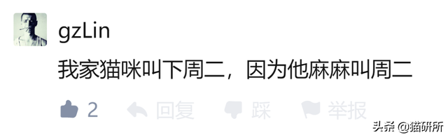 新浪微博名字大全，好听的新浪微博名字大全（让所有人都笑死在这些沙雕名字里）