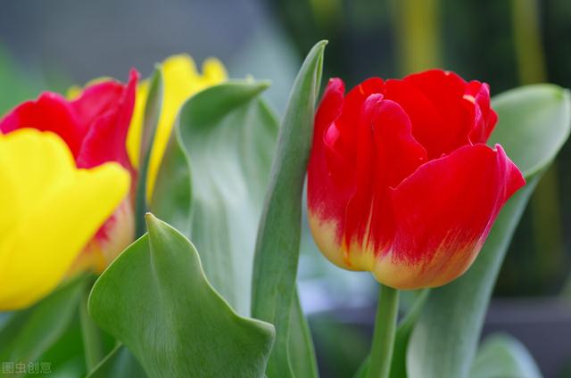 试问苍天饶过谁的上一句，苍天饶过谁的前一句是啥（心怀善念，福气相伴）