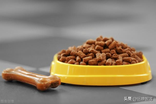 宝路狗粮怎么样，宝路狗粮好不好（佩蒂股份：双轮驱动未来可期）