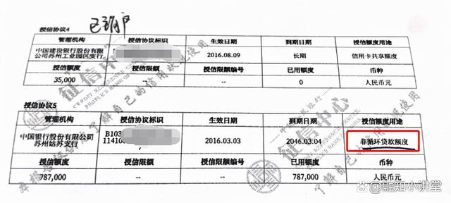 如何查自己的征信，手机上如何查自己的征信（征信报告系列-查询记录）