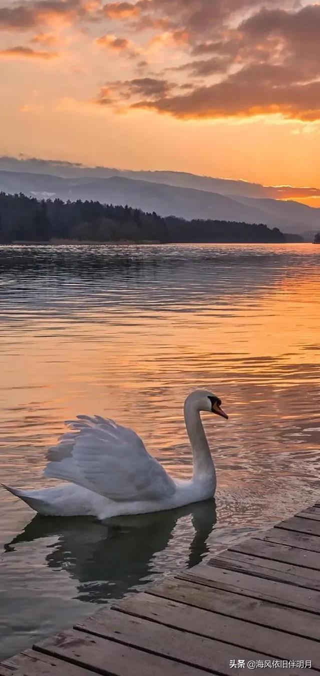 唯美照片，唯美照片风景（高清唯美自然风景图库）