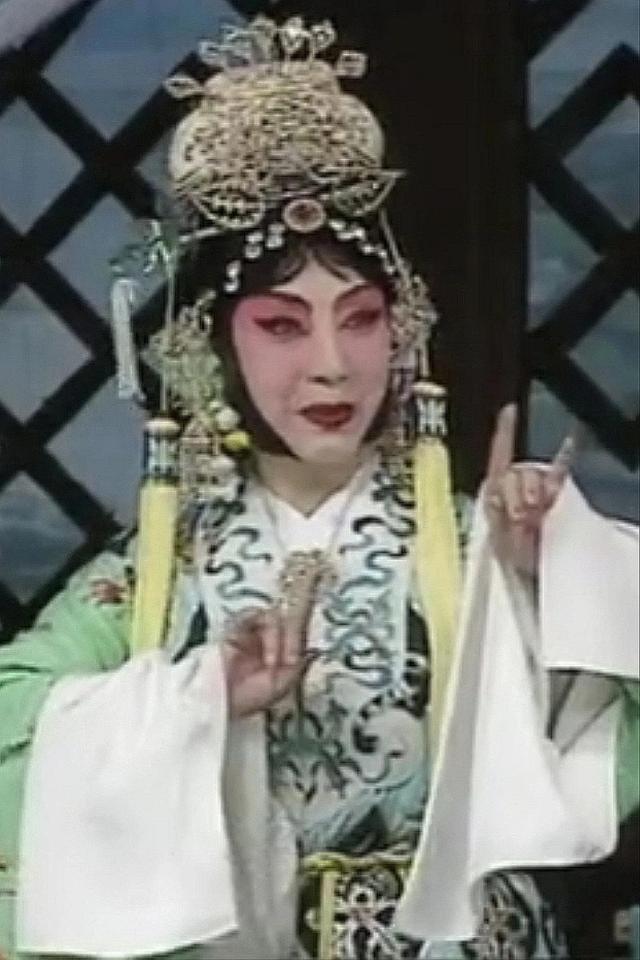 杜近芳现代京剧艺术欣赏，杜近芳“十大名剧”掠影