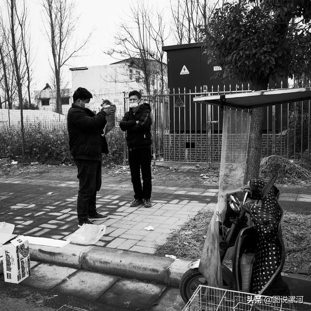 宠物市场在哪里，成都的宠物狗市场在那里呀（漯河宠物市场印象）