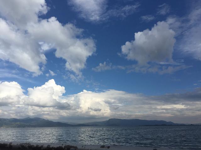 浪漫樱花唯美图片，图片樱花 唯美（大理还有浪漫樱花）