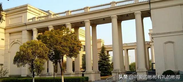 上海外国语大学是211还是985，上海外国语大学是985的吗（就业前景位居上海高校前列）