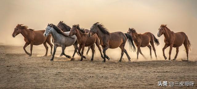 职级晋升考察三年工作总结，职级晋升考察三年工作总结2022（三十年工作的心路历程）