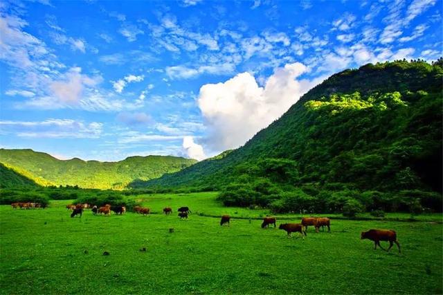 重庆周边凉快的避暑打卡地两三天，重庆周边这⑧个避暑胜地只有25℃