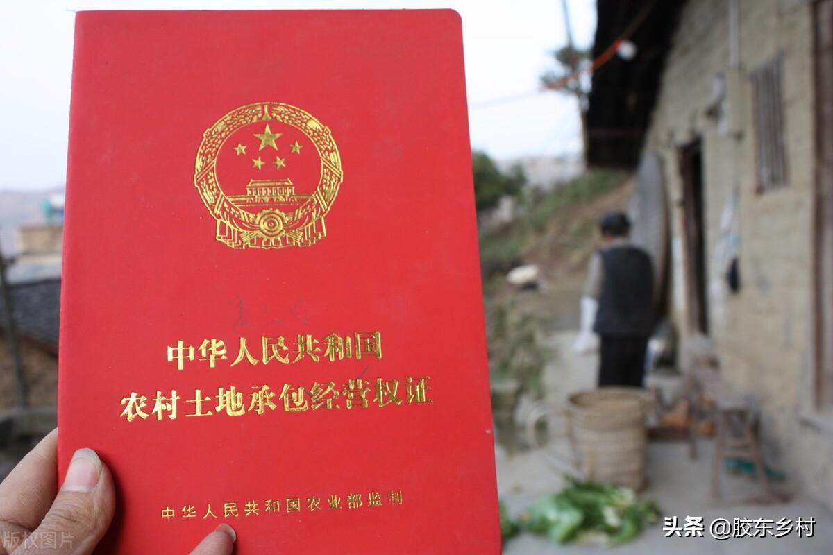 2022年农村宅基地新政策（5方面深度解读）