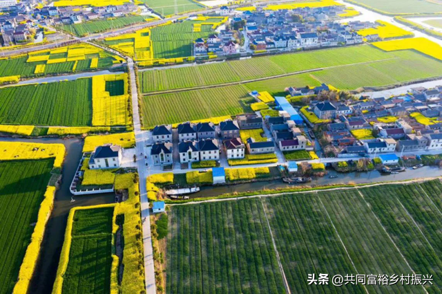 数字乡村是什么意思，数字乡村通俗理解是什么（数字乡村是什么、建什么、怎么建）