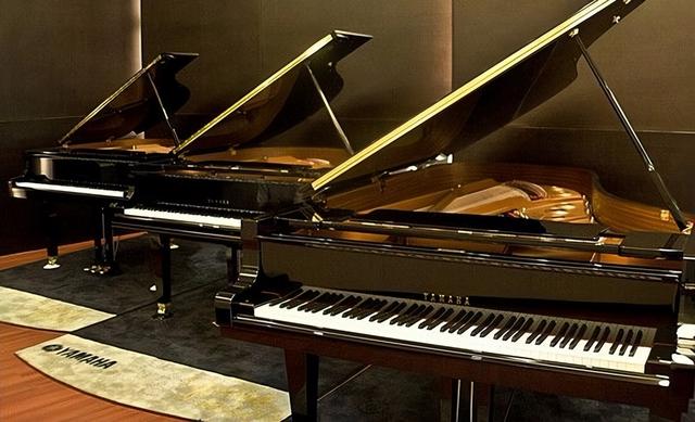 钢琴尺寸标准尺寸，钢琴黑白键宽度是多少（钢琴搬运的注意事项）