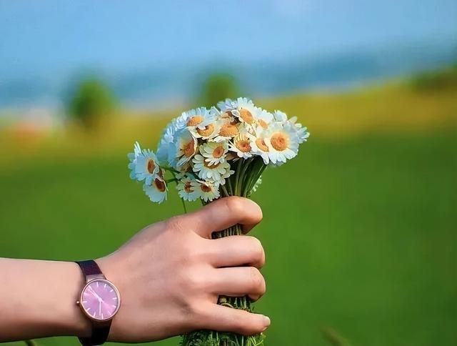 七月再见八月你好图片，2022年七月再见（七月再见，八月你好）