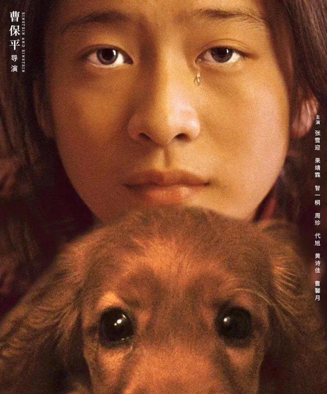 电影狗十三什么意思，电影狗十三名字的含义（《狗十三》一部极具教育意义的电影）