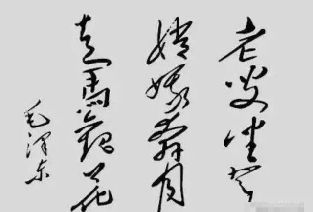 美国尼克松简介，1972年尼克松访华