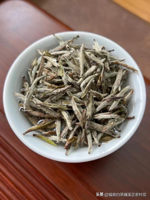 福鼎白茶产区磻溪，带你了解白茶优质产区，磻溪镇