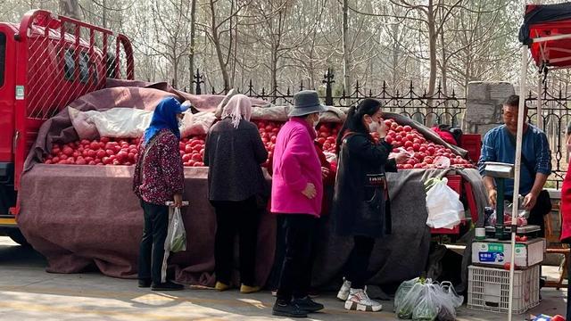 如何辨别正宗西红柿，教你几个挑西红柿的小技巧