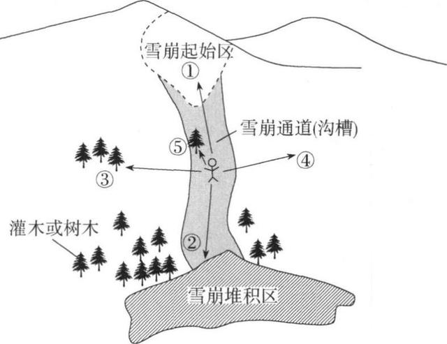 世界八大珍稀植物，2023届高考地理题型突破——必修一