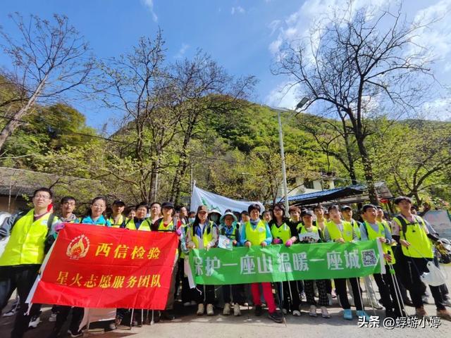 西安四月秦岭西寺沟紫荆花海，有山有水有你有我有爱