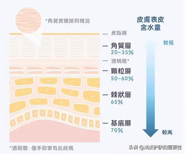 滋养霜是不是面霜，营养霜是面霜吗（护肤品保湿和滋润功能最本质的区别是什么）