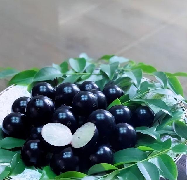 嘉宝果树种植的注意事项，嘉宝果种植方法和技巧是什么