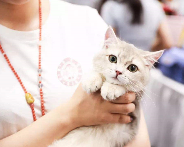 杭州工作好找吗，请问杭州工作好找吗（大学生们的就业面又宽了）