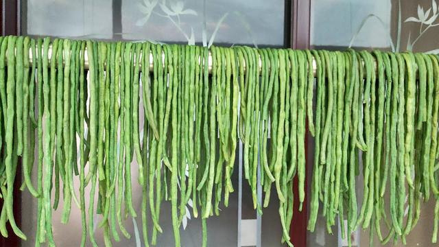 黄瓜干直接晒干不放盐可以吗，晒黄瓜干不撒盐能晒不（建议将5种蔬菜晒干）