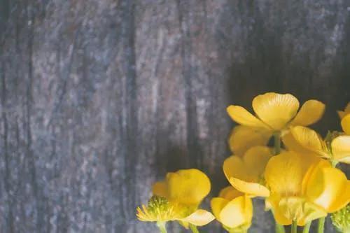 对方把你拉黑了怎么才能联系到他，拉黑他又后悔很痛苦