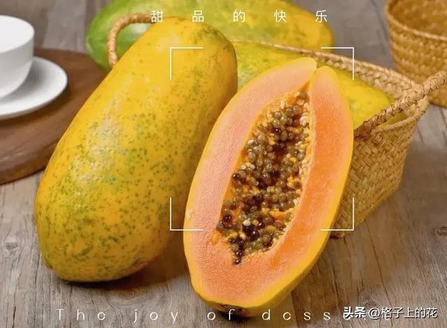 木瓜为什么是苦的，其实它才是真正的本土木瓜