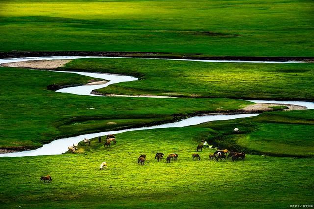 草原旅游去哪里好草原旅游胜地，草原旅游胜地有哪些（来这个内蒙最美的草原吧）