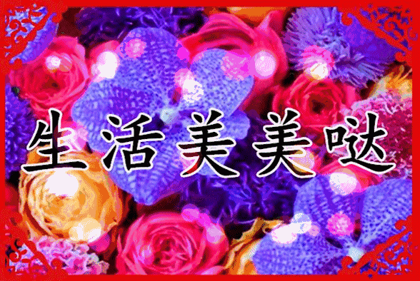友谊长存祝福语，友谊长存祝福语句（朋友圈每日早安祝福图片）