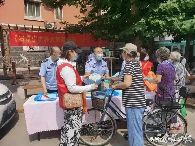 石家庄狗证多少钱 石家庄办狗证要多少钱 办狗证的流程