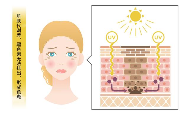 如何自制去斑面膜，祛斑面膜真的可以祛斑吗（如何自制面膜祛斑）