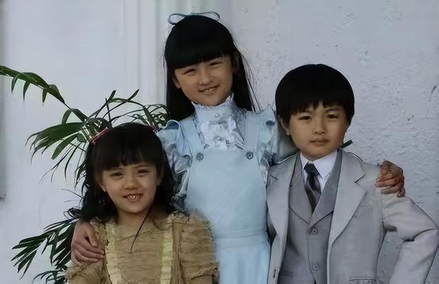 尚北京是哪部电视剧，尚北京是哪部电视剧的主角（《天涯赤子心》12年演员境况大不同）