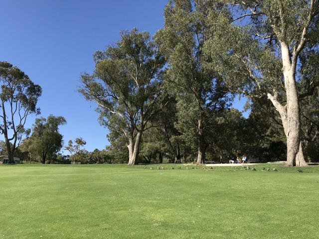 新加坡国立高中录取要求，新加坡高中去留学的要求