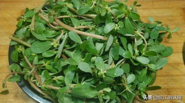 桐花菜的功效与作用,茼蒿菜功效和作用(春天野菜正当时)