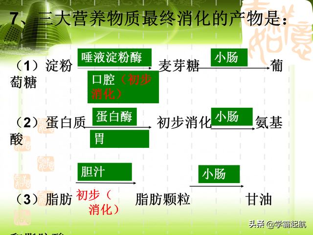 人体八大系统顺口溜，人体九大系统的顺口溜（期末必考考点——人体的八大系统）