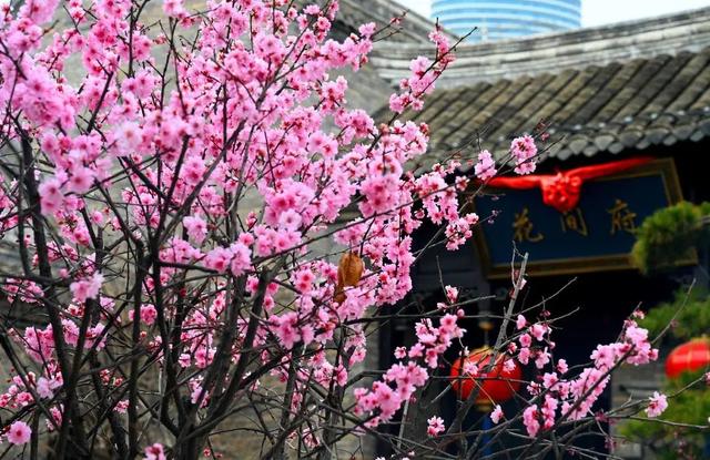 江苏徐州旅游景点，徐州市内的旅游景点（这一份“攻略”快收藏起来）