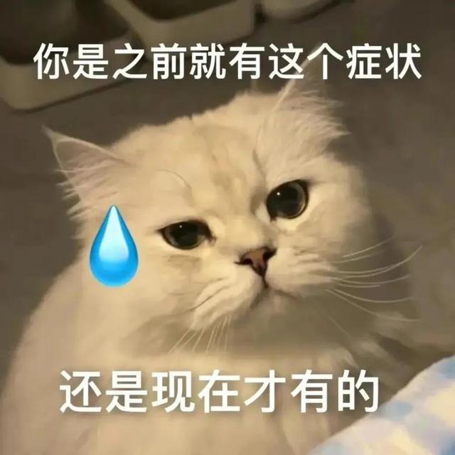 萌宠表情包，微信头像，萌宠表情包（萌宠表情包：我的爱是垃圾吗）